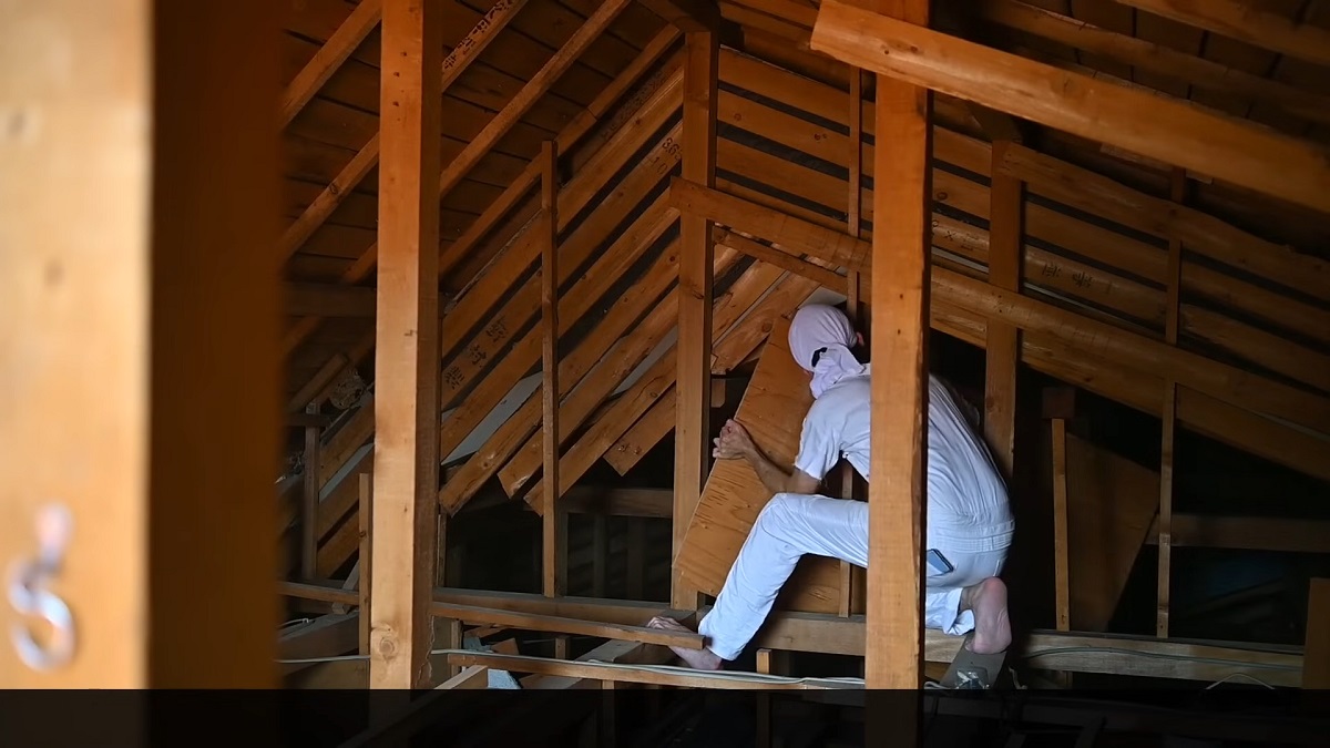 猫好きおじさんが“築60年のアパート付き民家”を大リフォームしたら……「なんて素敵なの」「ブラボー！」完成した“楽園”に反響（1/3） | リフォーム・リノベーション・DIY ねとらぼ