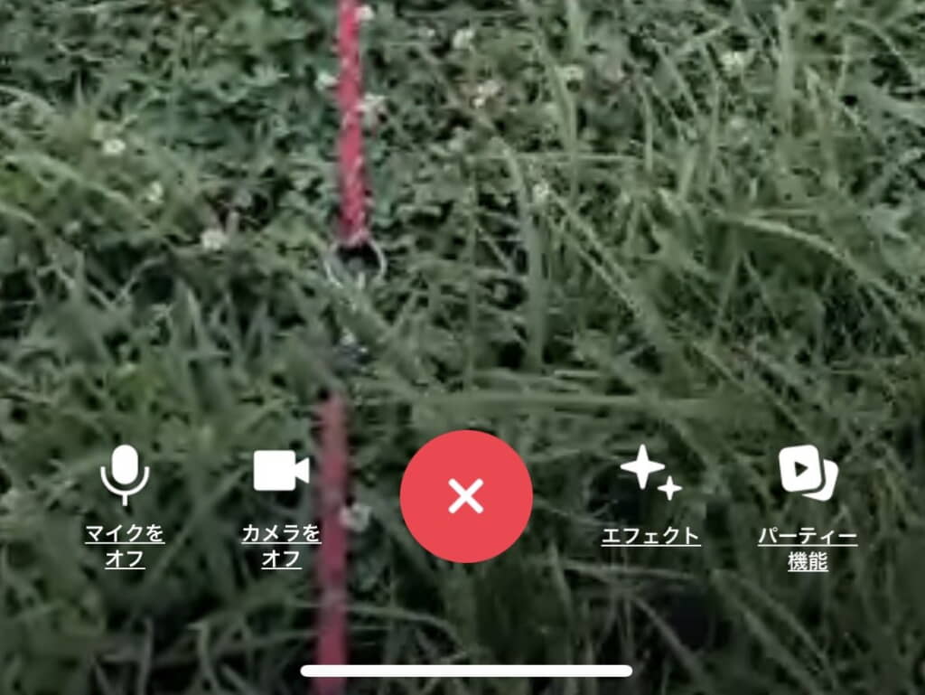 ビデオ通話を開いたら……