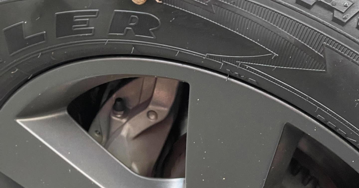 「車乗れんやん」　タイヤを見ると“まさかの付着物”→夏ならではの結末に「すごーい！」「初めて見た」（1/3） | その他生き物 ねとらぼ