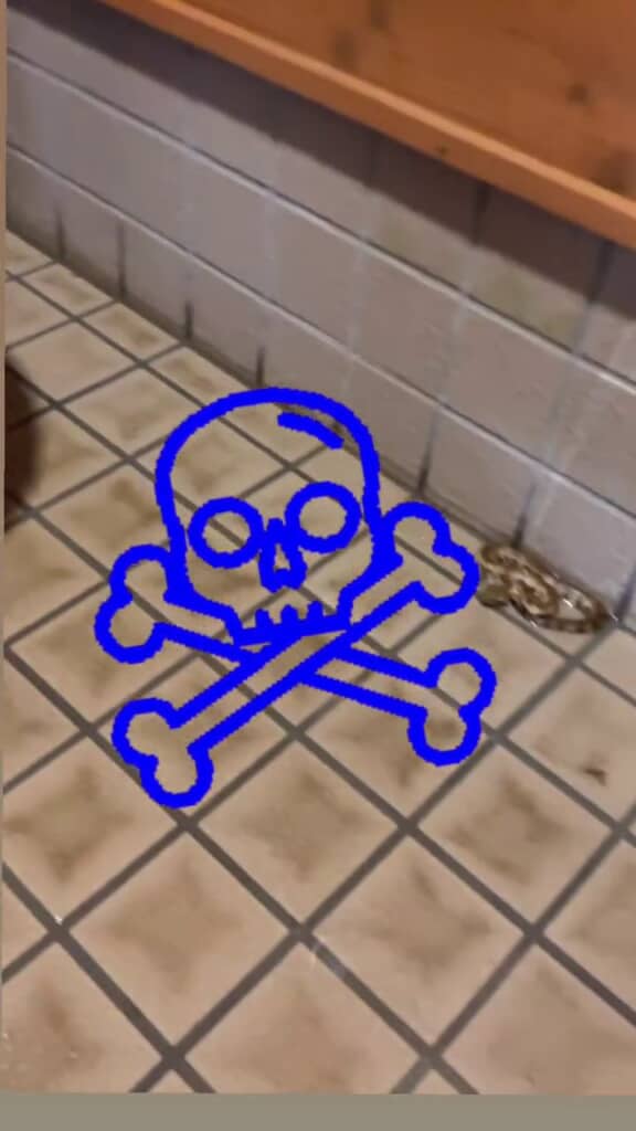 床に落ちているひも状の物体