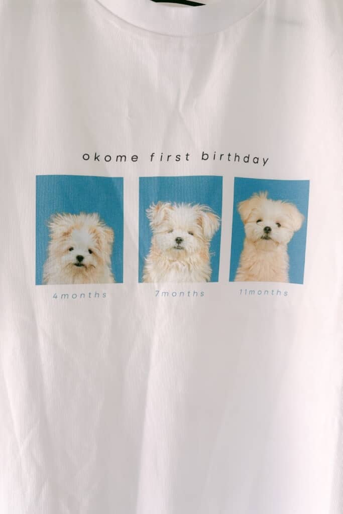 どんどん成長していくおこめちゃん