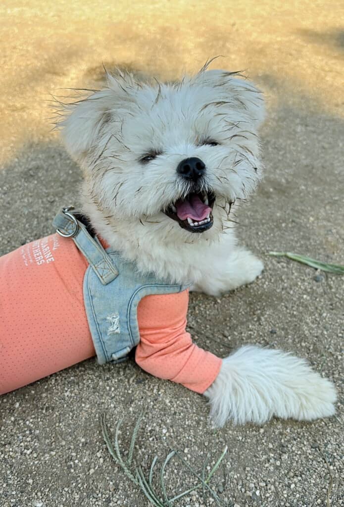 朝からニッコニコ