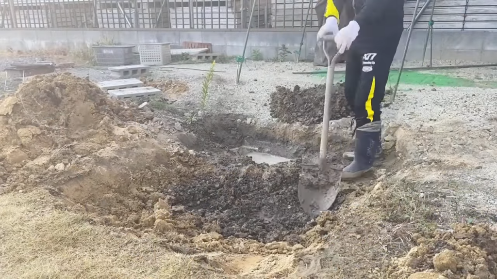 庭を掘るパクパクめだかさん