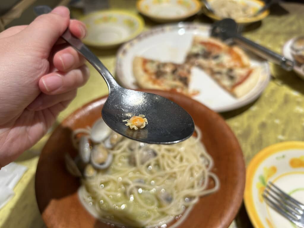 貝の中からコンニチハ！