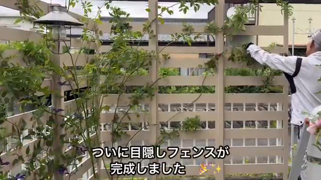 ついに木製フェンスが完成！