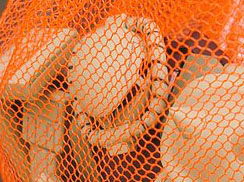 この赤みを帯びたザクはもしや……