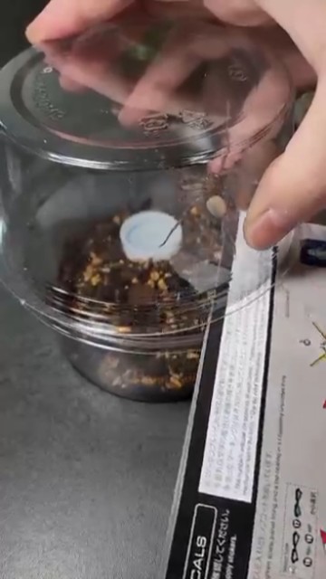 お引越しは慎重に……！