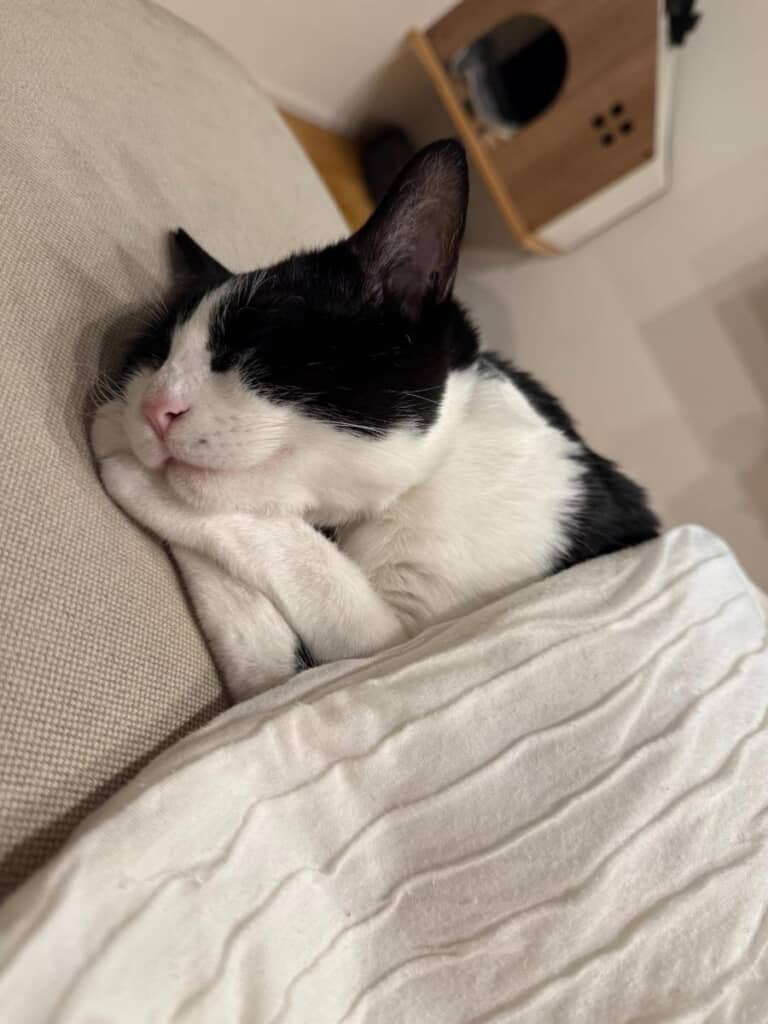 ニンマリ笑顔で幸せそうな表情