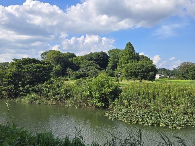 角度が変わると猫らしさは失われるとのこと