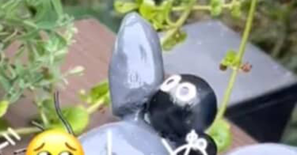 「夏休みの工作に息子に作らせようかな」　100均アイテムで作った、トトロの夏ピッタリなアイテムが「まじかわいい天才」（1/3） | ライフスタイル ねとらぼ