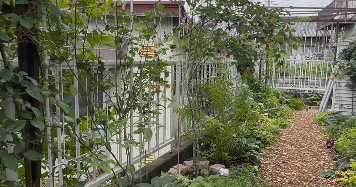お隣さんから丸見えの庭→夫妻で目隠しフェンスをDIYしたら……　1カ月後、雰囲気ガラリ「すご〜い！」「プロ並みの仕事」（1/3） | リフォーム・リノベーション・DIY ねとらぼ
