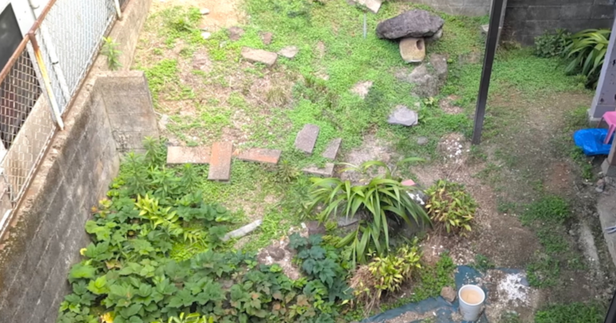 雑草だらけの荒れた庭→便利屋さんが大改造したら……　4日間かけたビフォーアフターが驚き（1/3） | ライフスタイル ねとらぼ
