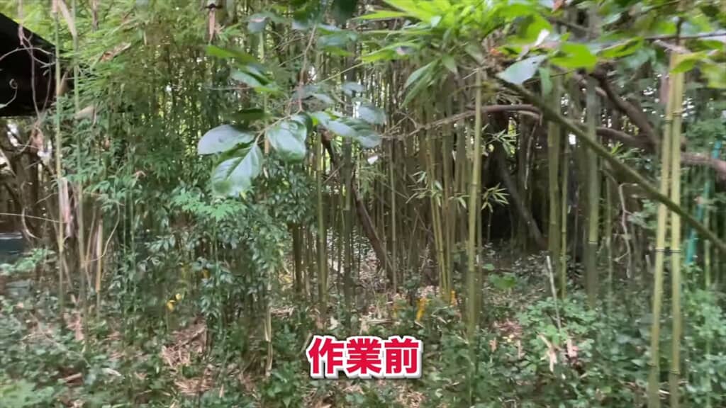 20年放置でジャングル化した庭をプロ庭師が伐採