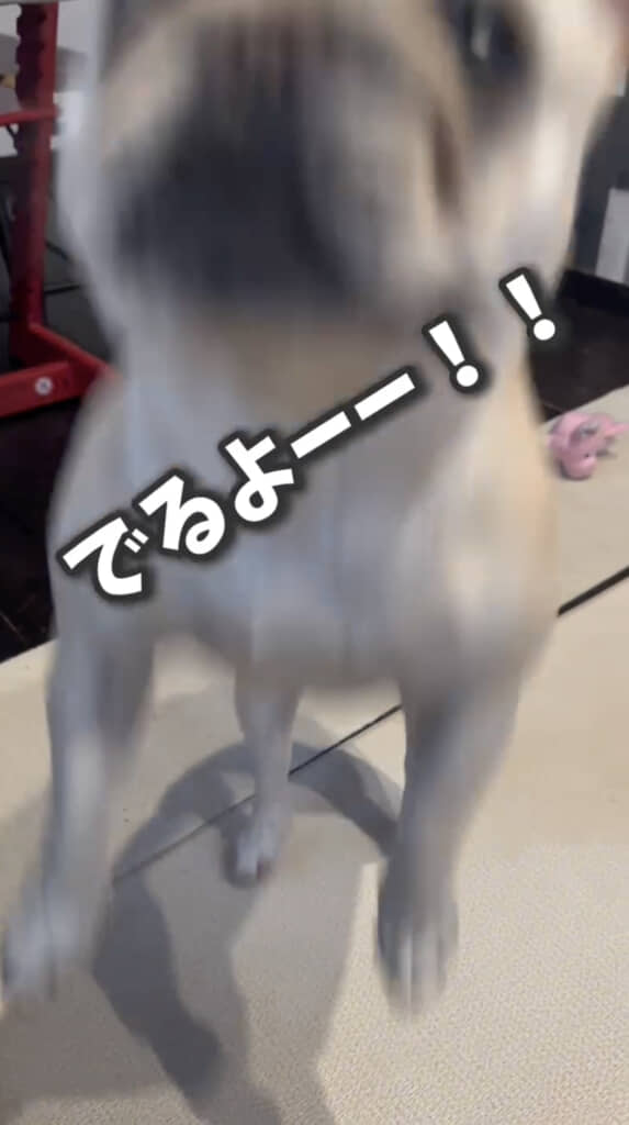 ものすごい反応！