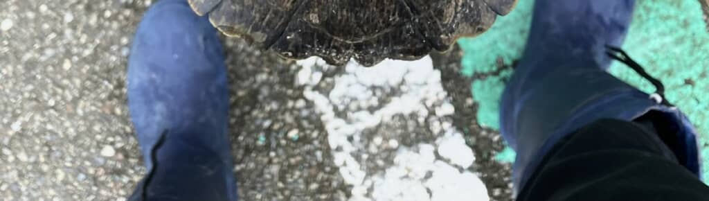 出勤中の人の足元