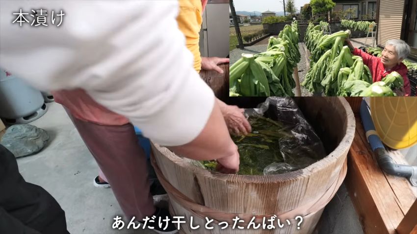 本漬けされる高菜