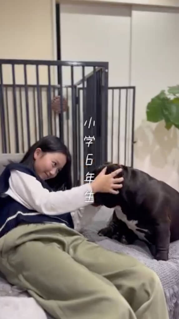 出会ってから5年後