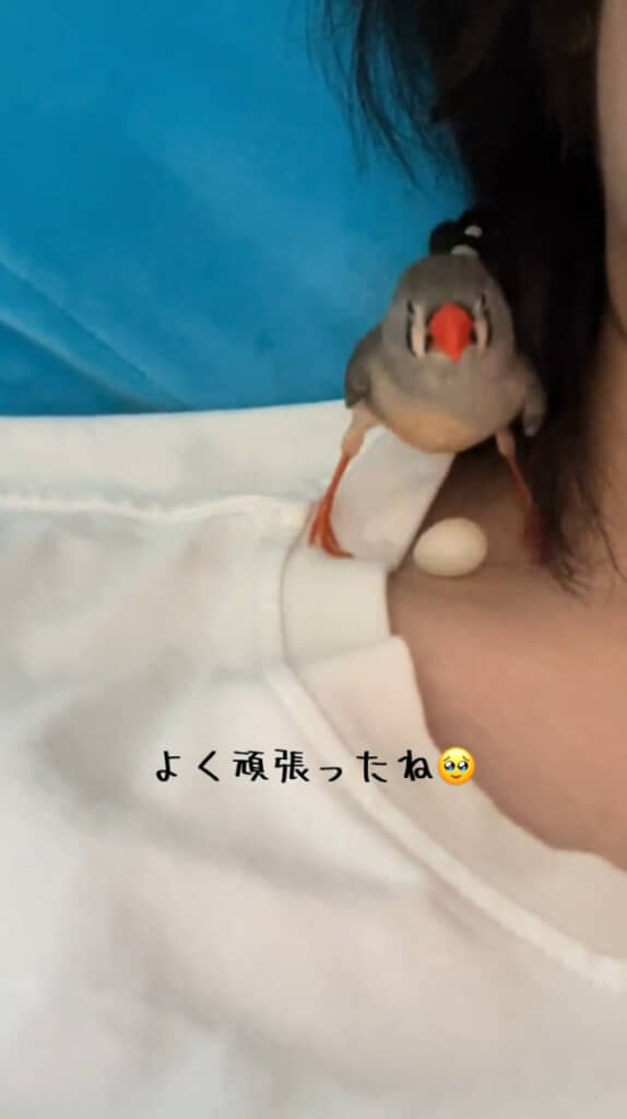 このあとはしっかり休ませたとのことでした