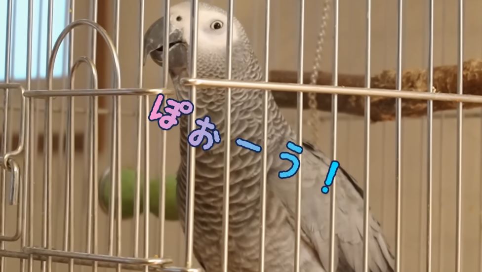 軽やかに歌うずぅちゃん