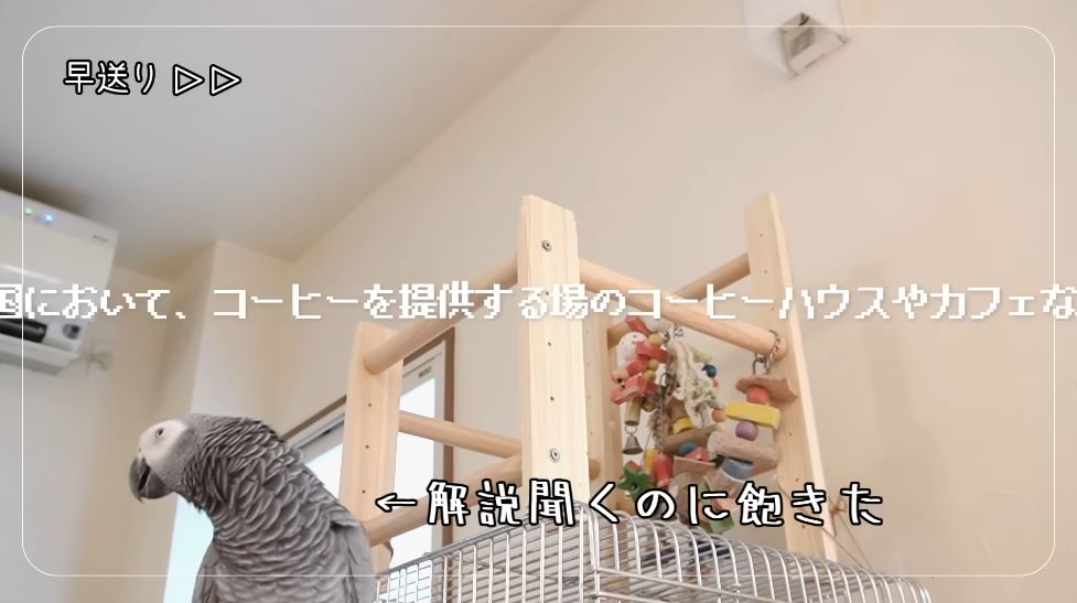 ついには飽きてしまう