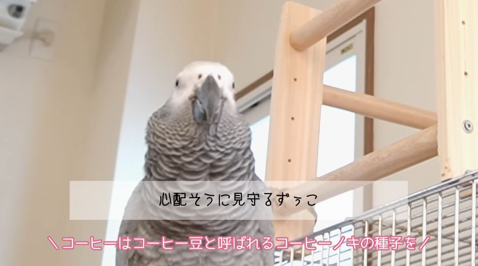 心配になるずぅちゃん