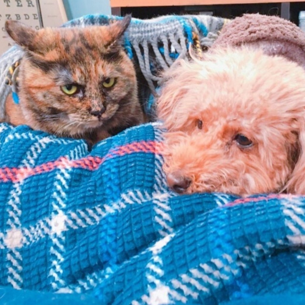 1歳のぼんちゃん