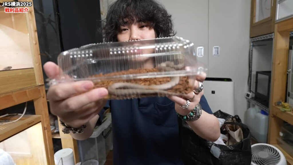 ヘビ……ですよね