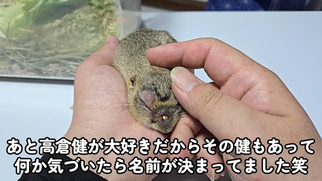 お名前は「健」ちゃんに決定していました