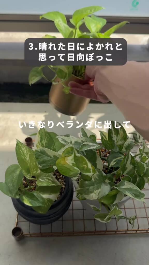 いきなりベランダに出して