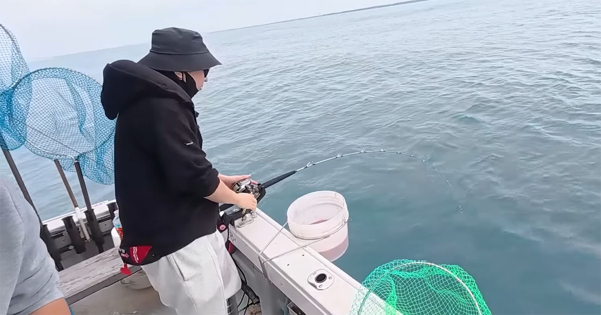 静岡の海で“でっかいアジ”を狙ったら……「やばいやばい！」　とんでもない釣果に「こんな入れ食いすごいわ」（1/3） | その他生き物 ねとらぼ