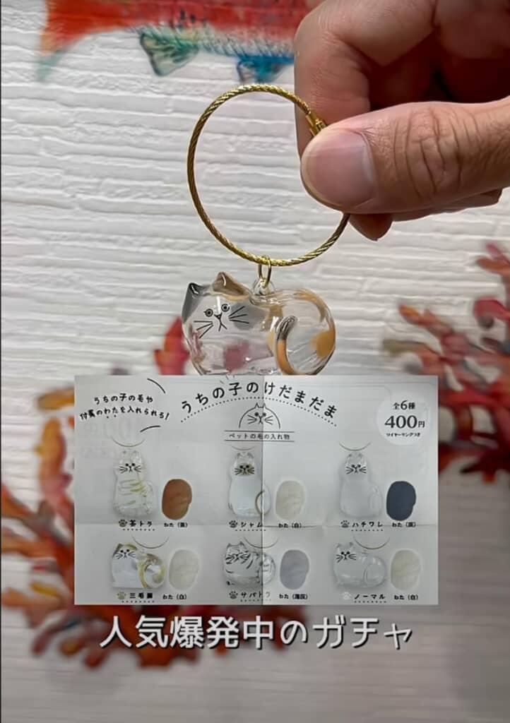 話題のカプセルトイ「うちの子のけだまだま」