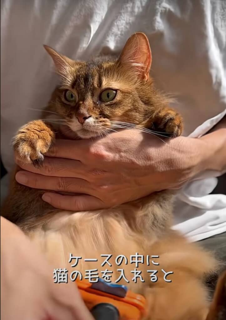 アンちゃんの毛で作成