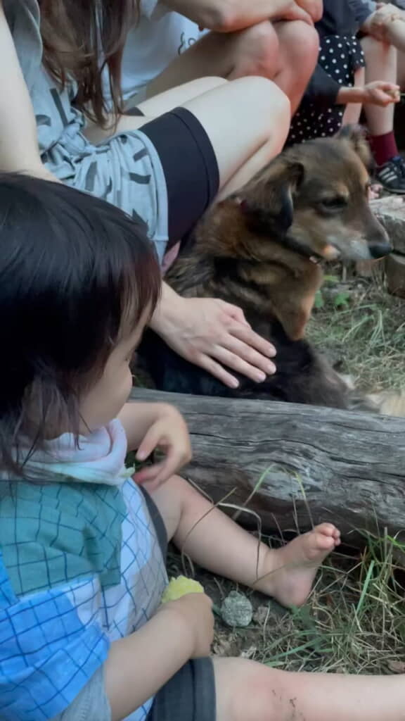 ワンコのことが気になる娘さん