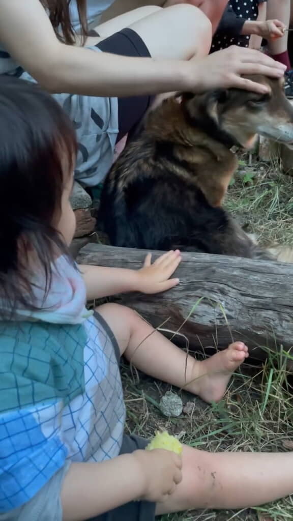 ワンコを見ながら木をなでなで