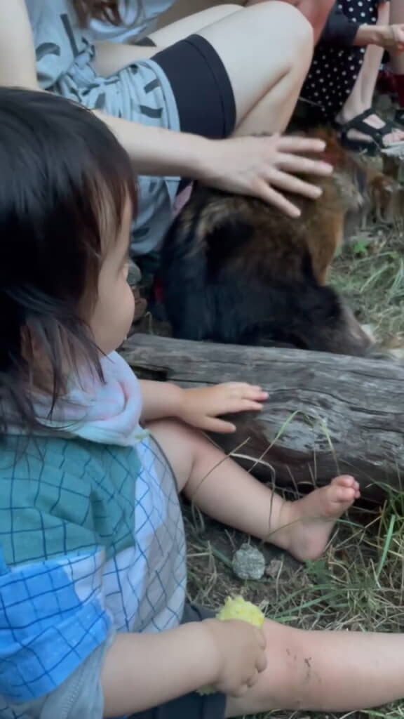 練習はばっちり！