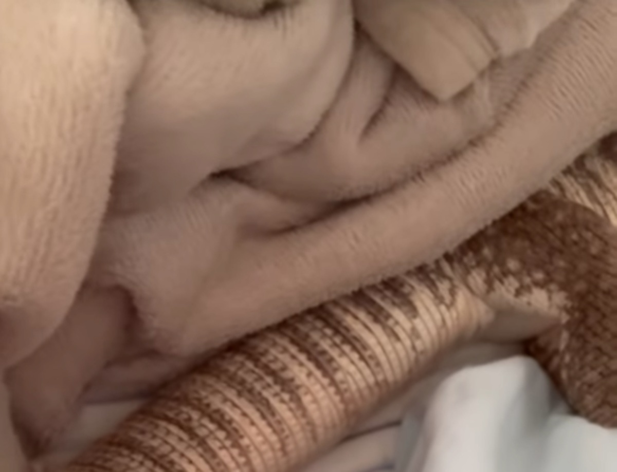 パンの匂いで目覚めると、腕枕していたのはまさかの……　信じられないオオトカゲの姿に驚き「爬虫類という皮を被った赤ちゃん」「こんなに懐いてくれるんですか！」（1/3） | その他生き物 ねとらぼ