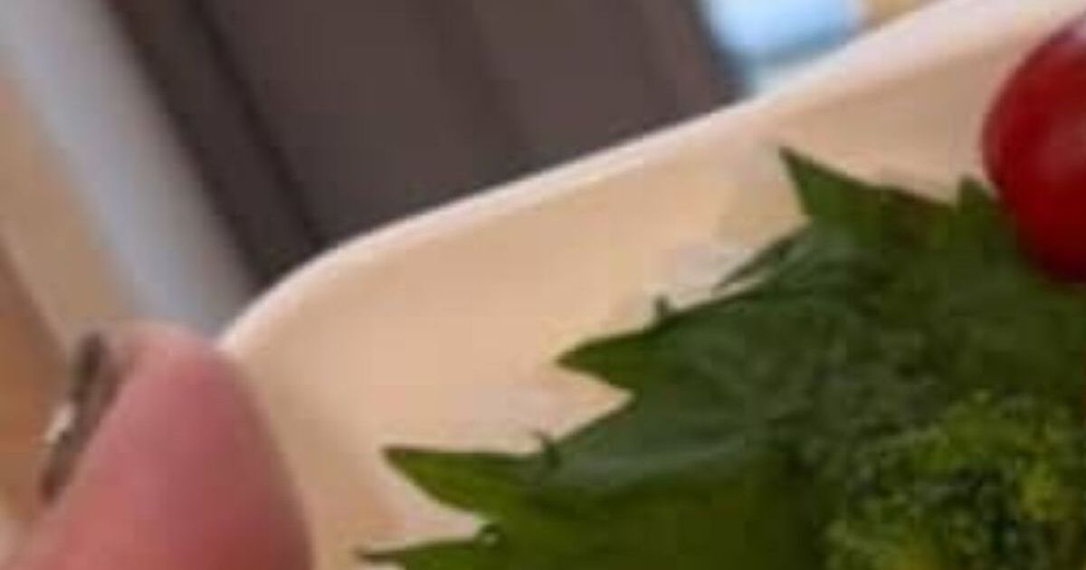 夏休み初日、高1息子に「自分でお弁当作りん」と言ったら……　「お〜！」まさかの仕上がりに母仰天「ミャクミャク弁当ですね！」 | グルメ ねとらぼ