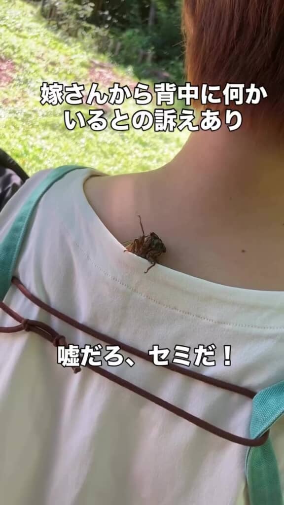 片手をあげて「やあ！」とごあいさつ