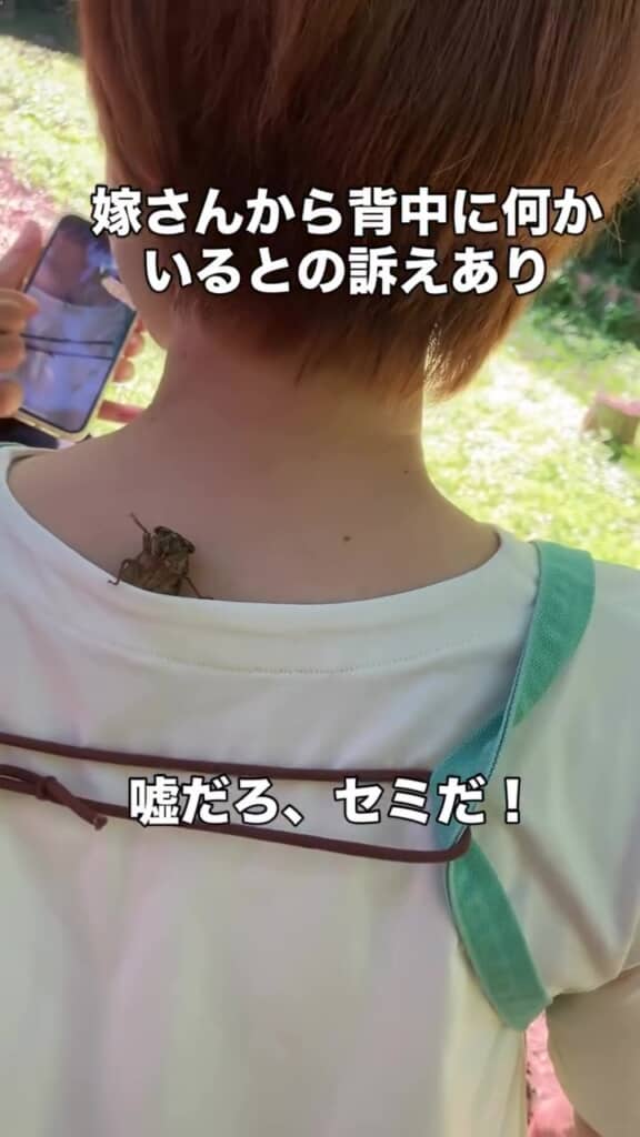 ニックさん「すごいよ、これ」