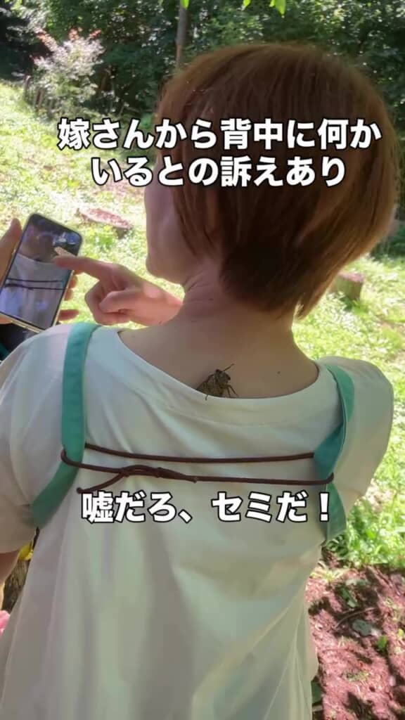 妻「えー!?　すごーい!!」