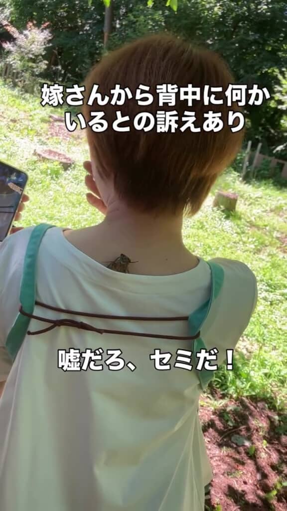 妻「すっごい！　これはなかなかない！」