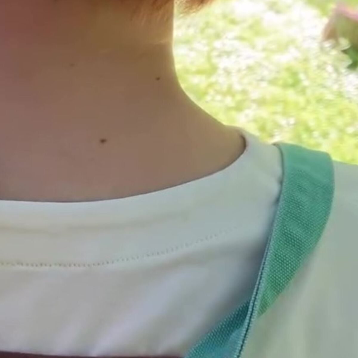 妻「服に何か入った」→夫が確認すると……「嘘だろ」中にいた“まさかの生き物”に仰天「私だったら発狂する」と320万再生 | その他生き物 ねとらぼ