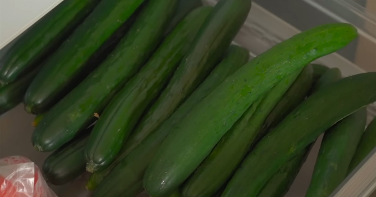 冷蔵庫にたまった“大量のきゅうり”→一気に片付く簡単レシピに「ありがたい」「苦手でも食べられそう」（1/3） | グルメ ねとらぼ