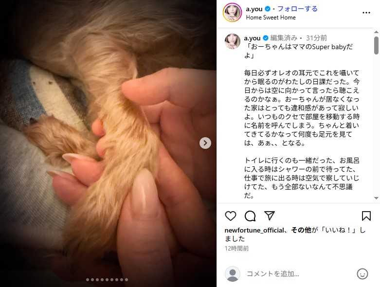 虹の橋を渡った浜崎あゆみの愛犬・オレオ