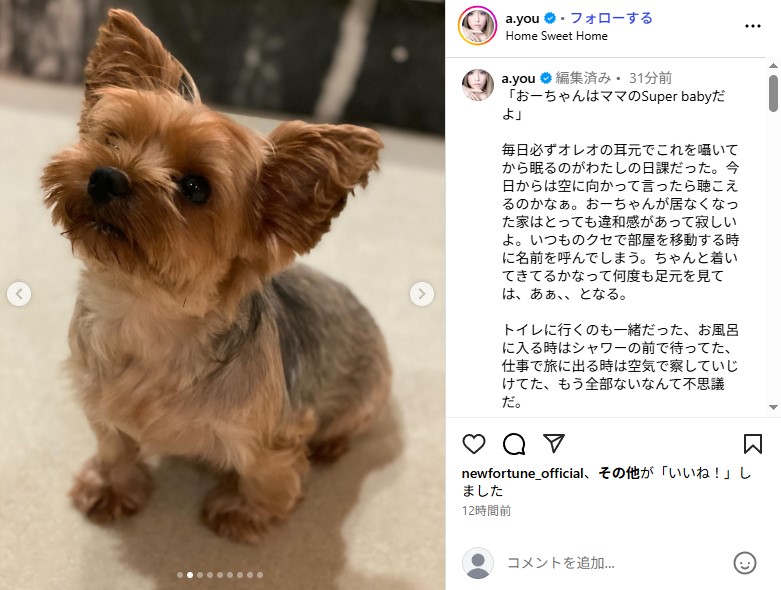 虹の橋を渡った浜崎あゆみの愛犬・オレオ