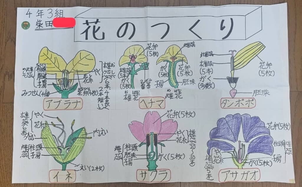 まるで教材のような驚きのクオリティー
