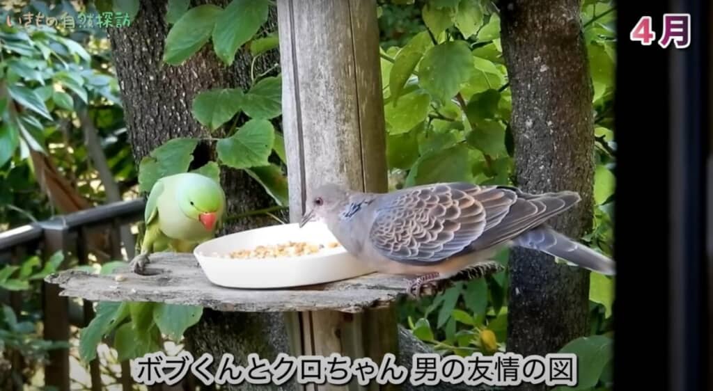 親友のクロちゃんと食事中