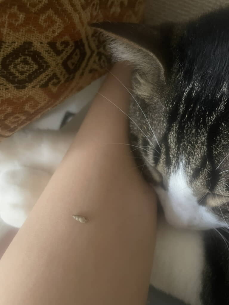 海で遊んできたのかな？