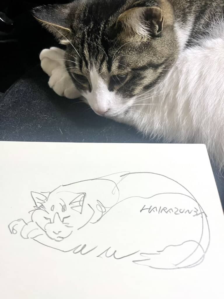 専属モデルも務める猫ちゃん
