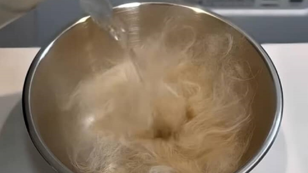 猫の毛をお湯につけるだけで……　「もっと早く知りたかった」宝物になるアイデアが800万再生「発想が可愛すぎ」（1/3） | 猫 ねとらぼ